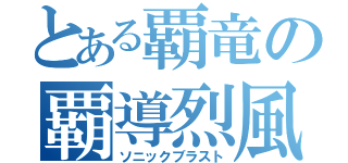 とある覇竜の覇導烈風砲（ソニックブラスト）