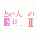 とある人のＳＢⅡ（ＣＪ向）