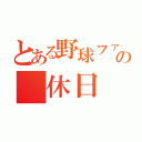 とある野球ファンの　休日（）