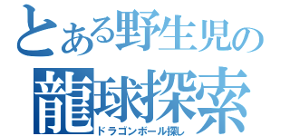 とある野生児の龍球探索（ドラゴンボール探し）