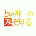 とある神のみぞ知るセカイ（女神篇）