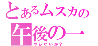 とあるムスカの午後の一時（やらないか？）