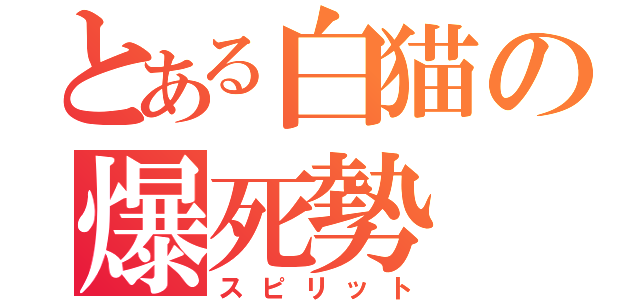 とある白猫の爆死勢（スピリット）