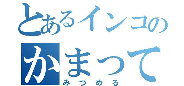 とあるインコのかまって（みつめる）