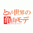 とある世界の亀山モデル（テレビジョン）