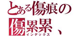 とある傷痕の傷累累、（インデックス）