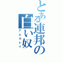 とある連邦の白い奴（アムロレイ）