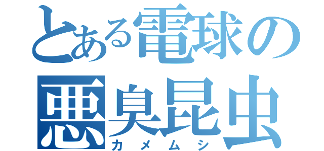 とある電球の悪臭昆虫（カメムシ）