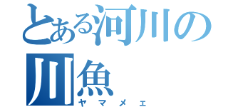 とある河川の川魚（ヤマメェ）