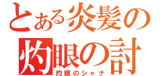 とある炎髪の灼眼の討ち手（灼眼のシャナ）