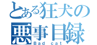 とある狂犬の悪事目録（Ｂａｄ ｃａｔ）