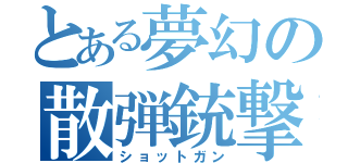 とある夢幻の散弾銃撃（ショットガン）