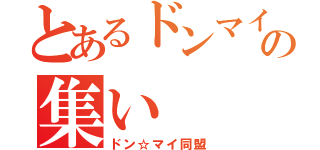 とあるドンマイ人間の集い（ドン☆マイ同盟）