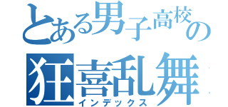 とある男子高校生の狂喜乱舞（インデックス）