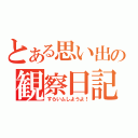 とある思い出の観察日記（すらいムしようよ！）