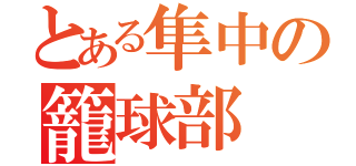 とある隼中の籠球部（）