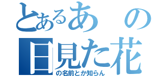 とあるあの日見た花（の名前とか知らん）