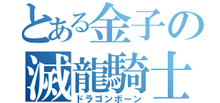 とある金子の滅龍騎士（ドラゴンボーン）