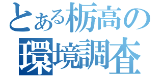 とある栃高の環境調査（）