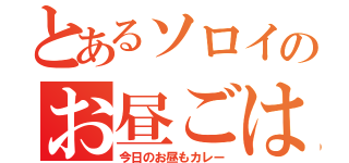 とあるソロイのお昼ごはん（今日のお昼もカレー）