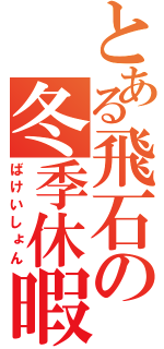 とある飛石の冬季休暇（ばけいしょん）