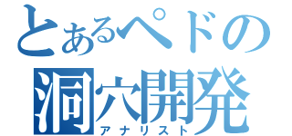 とあるペドの洞穴開発者（アナリスト）