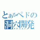 とあるペドの洞穴開発者（アナリスト）