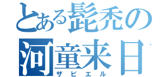 とある髭禿の河童来日（ザビエル）