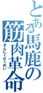 とある馬鹿の筋肉革命（きんにくかくめい）