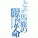 とある馬鹿の筋肉革命（きんにくかくめい）