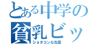 とある中学の貧乳ビッチ（ショタコンな先輩）