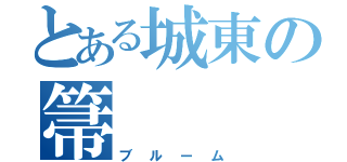 とある城東の箒（ブルーム）