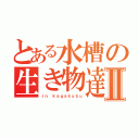 とある水槽の生き物達Ⅱ（ｉｎ ｋａｇａｋｕｂｕ）