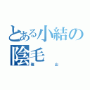 とある小結の陰毛（雅山）