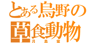 とある烏野の草食動物（月島蛍）