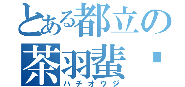 とある都立の茶羽蜚蠊（ハチオウジ）