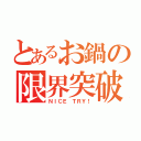 とあるお鍋の限界突破（ＮＩＣＥ ＴＲＹ！）