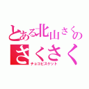 とある北山さくやのさくさくぱんだ（チョコビスケット）