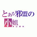 とある邪盟の小姐（青山婦科）