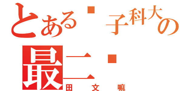 とある电子科大の最二马（田文嘛）