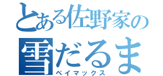 とある佐野家の雪だるま（ベイマックス）