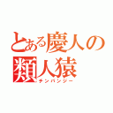 とある慶人の類人猿（チンパンジー）