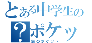 とある中学生の？ポケット（謎のポケット）