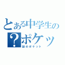 とある中学生の？ポケット（謎のポケット）