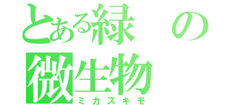 とある緑の微生物（ミカズキモ）