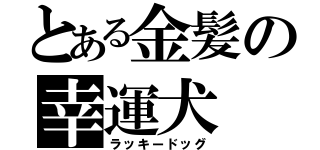 とある金髪の幸運犬（ラッキードッグ）