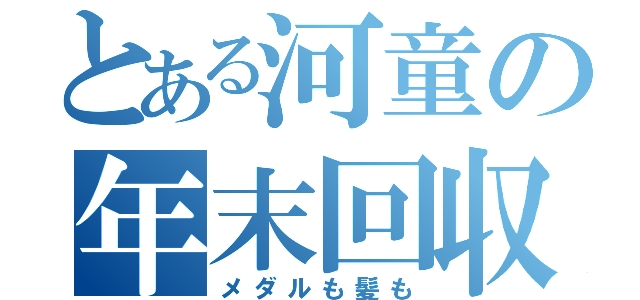 とある河童の年末回収（メダルも髪も）