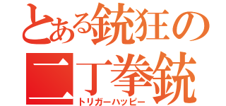 とある銃狂の二丁拳銃（トリガーハッピー）