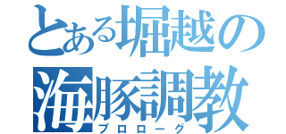 とある堀越の海豚調教（プロローグ）