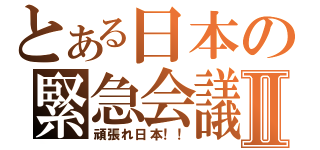 とある日本の緊急会議Ⅱ（頑張れ日本！！）